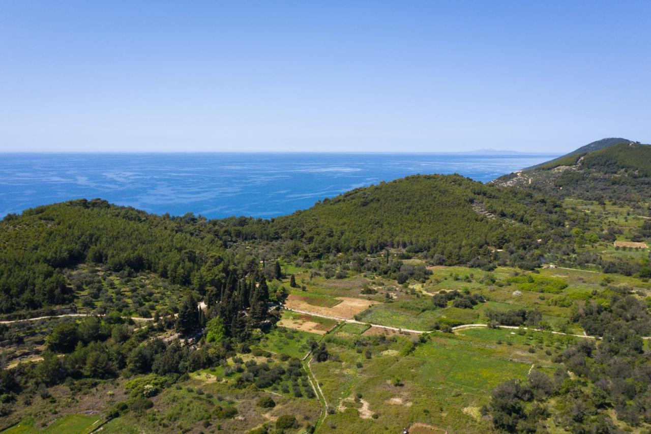 Vila Korta - Spacious House With Pool *